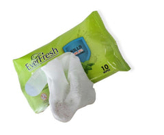 75% Alcohol Antibacterial Wipe (10 pcs)